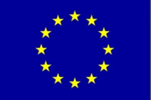 flag edited
